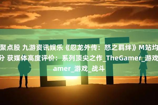 聚点股 九游资讯娱乐《忍龙外传:怒之羁绊》M站均分85分 获媒体高度评价:系列顶尖之作_TheGamer_游戏_战斗