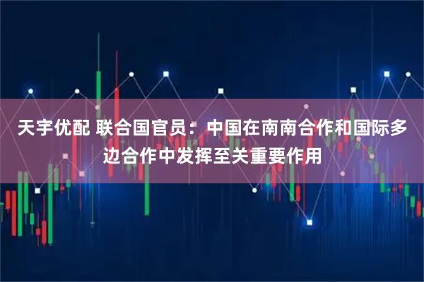 天宇优配 联合国官员：中国在南南合作和国际多边合作中发挥至关重要作用