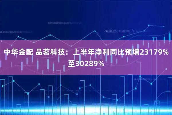 中华金配 品茗科技：上半年净利同比预增23179%至30289%