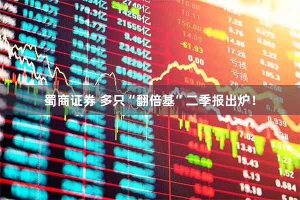 蜀商证券 多只“翻倍基”二季报出炉！