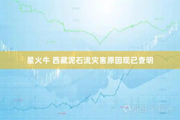 星火牛 西藏泥石流灾害原因现已查明